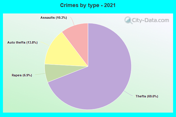 Crimes by type - 2021