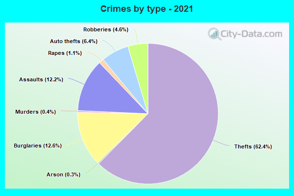 Crimes by type - 2021