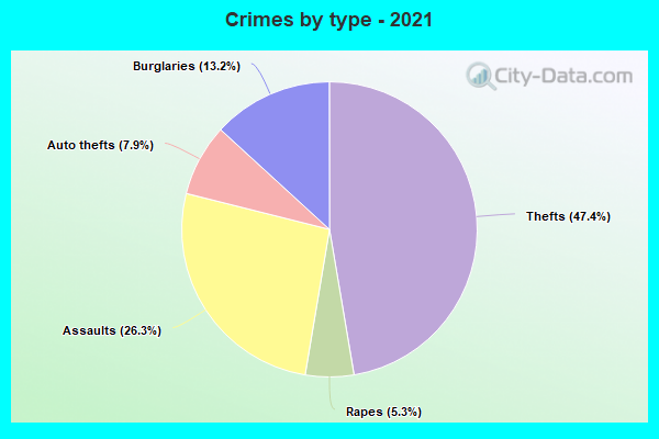 Crimes by type - 2021