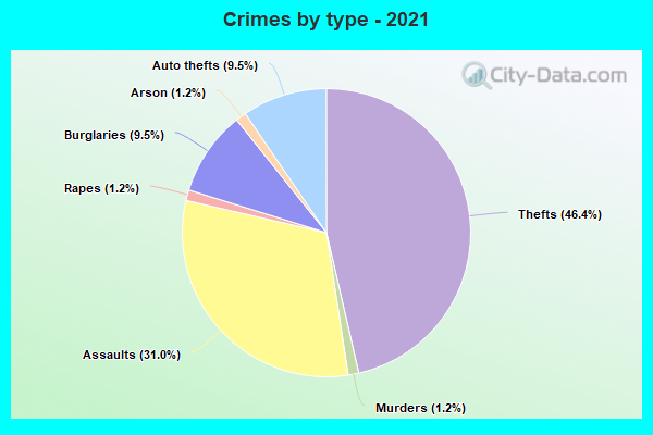 Crimes by type - 2021