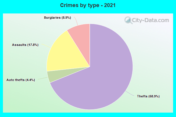 Crimes by type - 2021