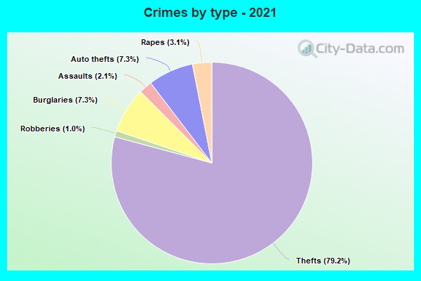 Crimes by type - 2021