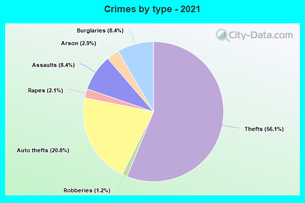 Crimes by type - 2021