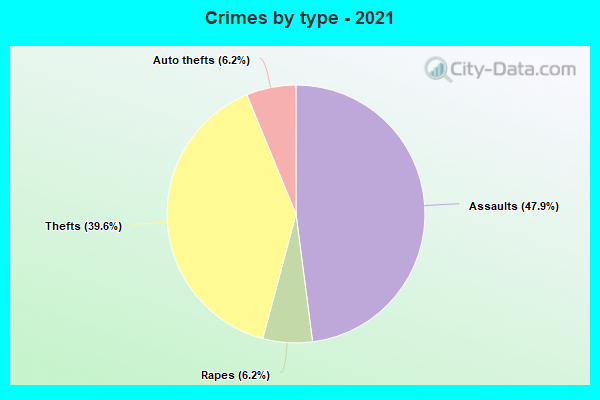 Crimes by type - 2021