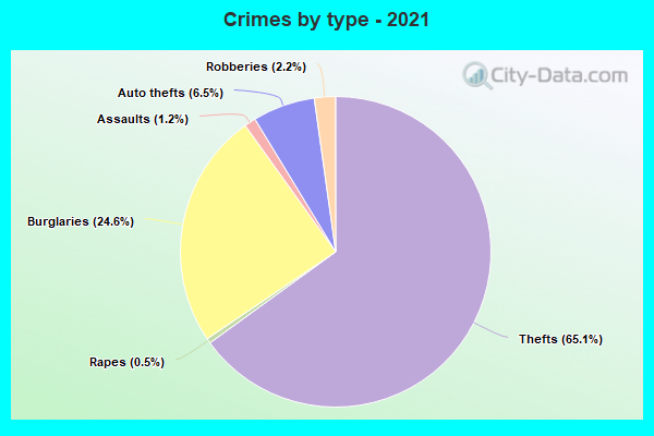 Crimes by type - 2021