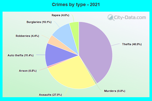 Crimes by type - 2021