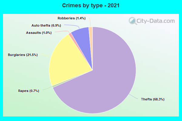 Crimes by type - 2021