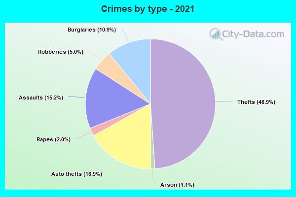 Crimes by type - 2021