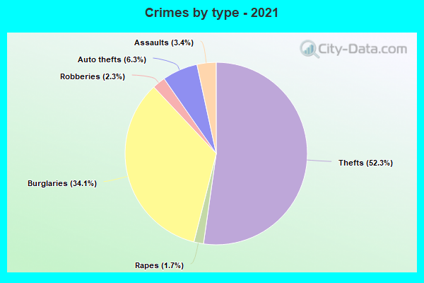 Crimes by type - 2021