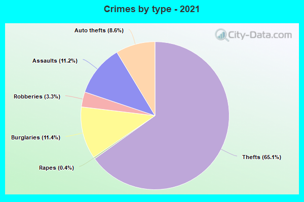 Crimes by type - 2021