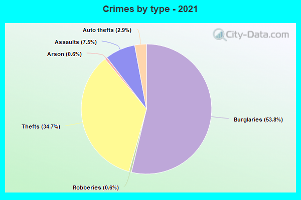 Crimes by type - 2021