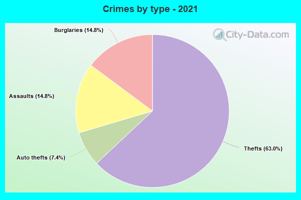 Crimes by type - 2021