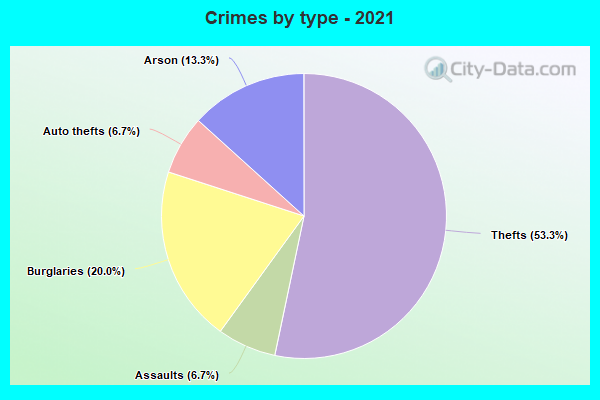 Crimes by type - 2021