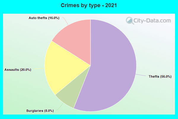 Crimes by type - 2021