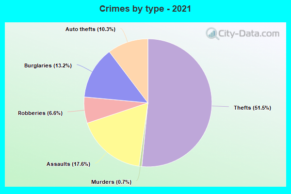 Crimes by type - 2021