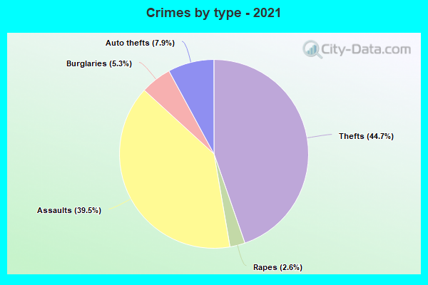 Crimes by type - 2021