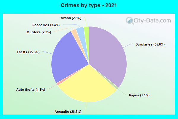 Crimes by type - 2021