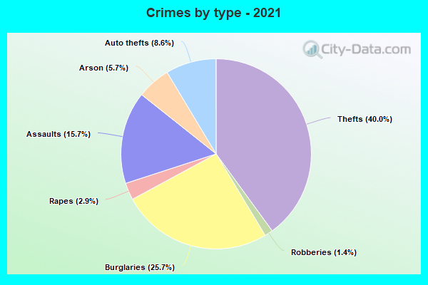 Crimes by type - 2021