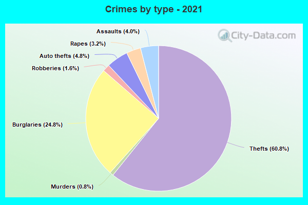 Crimes by type - 2021