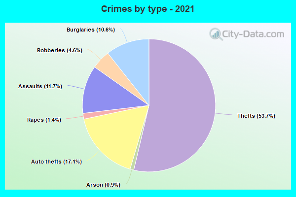 Crimes by type - 2021