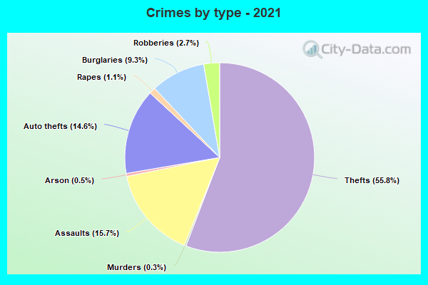 Crimes by type - 2021