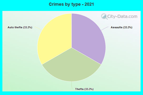 Crimes by type - 2021