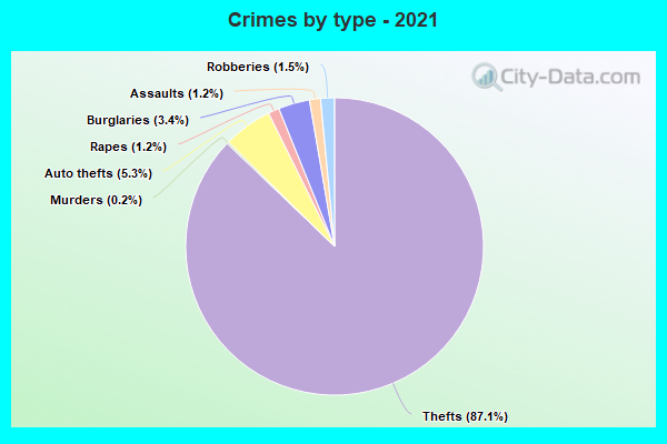 Crimes by type - 2021