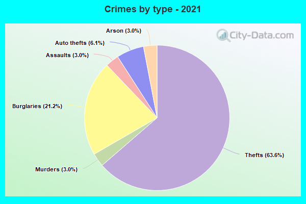 Crimes by type - 2021