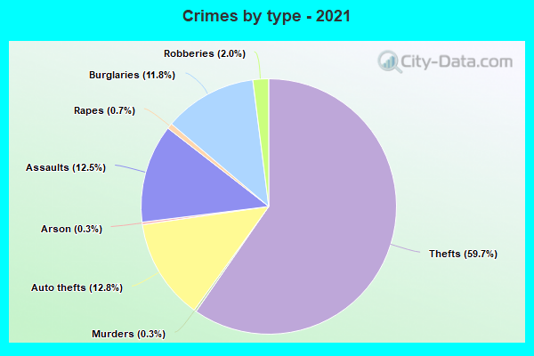 Crimes by type - 2021