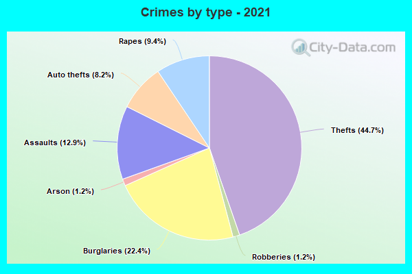 Crimes by type - 2021