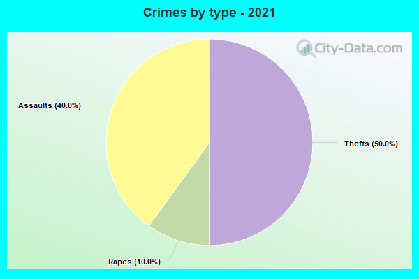 Crimes by type - 2021