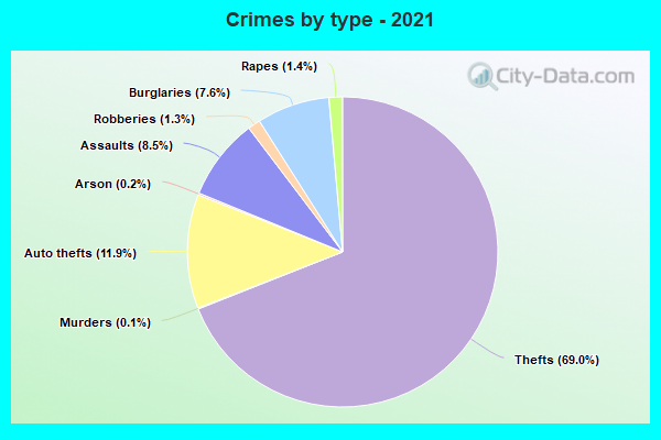 Crimes by type - 2021