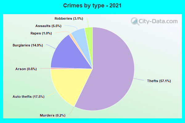 Crimes by type - 2021