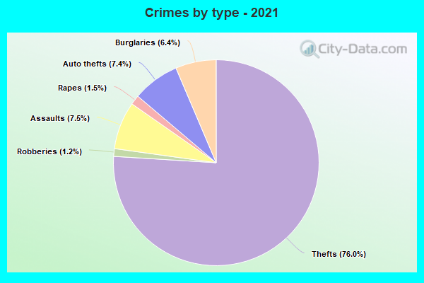 Crimes by type - 2021