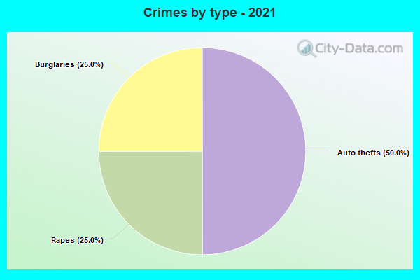 Crimes by type - 2021