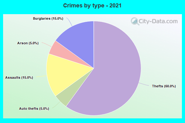 Crimes by type - 2021