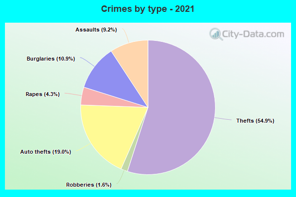 Crimes by type - 2021