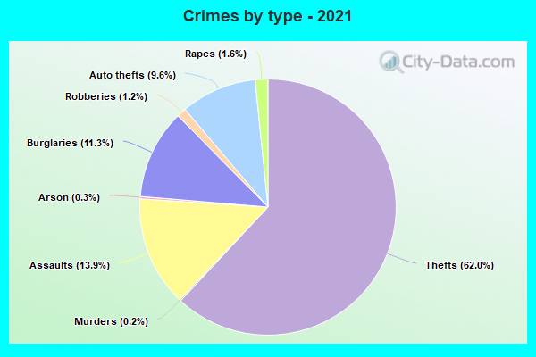 Crimes by type - 2021