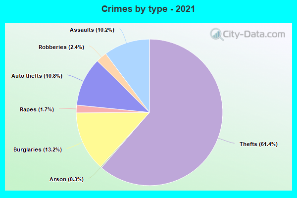 Crimes by type - 2021