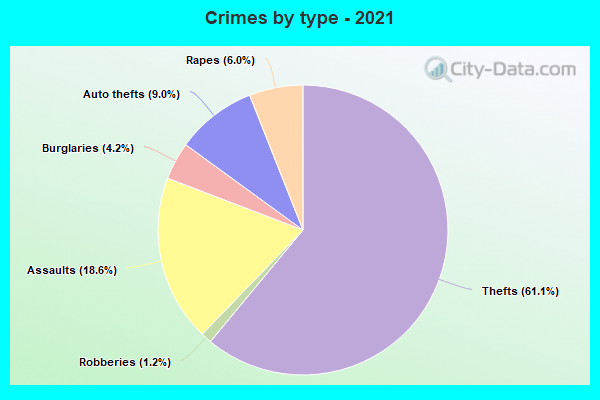 Crimes by type - 2021