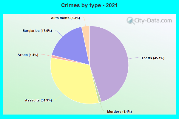 Crimes by type - 2021