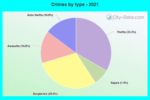 Crimes by type - 2021