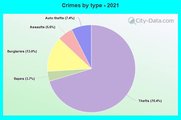 Crimes by type - 2021