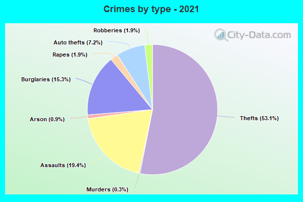 Crimes by type - 2021