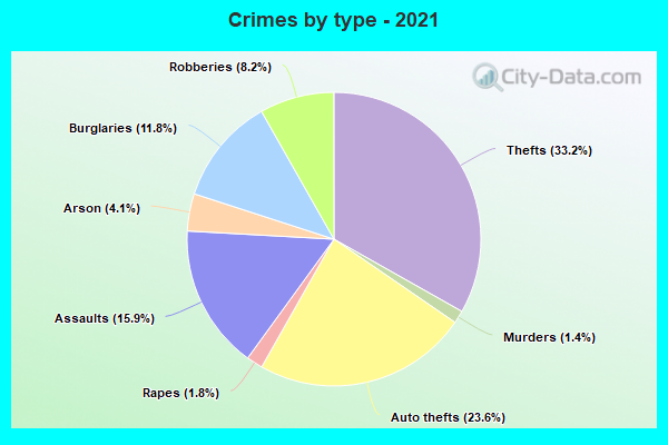 Crimes by type - 2021