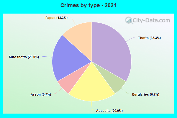 Crimes by type - 2021