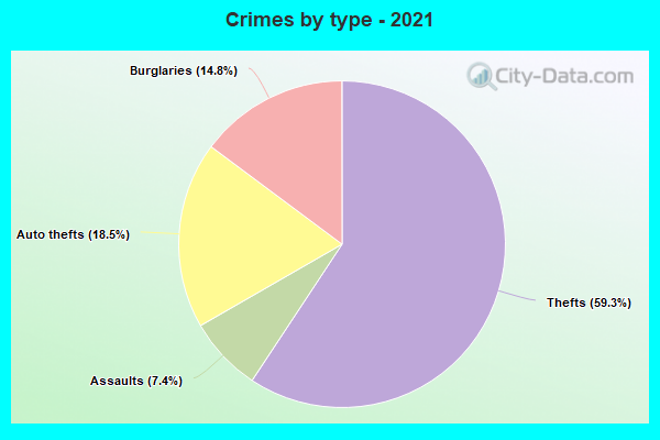 Crimes by type - 2021