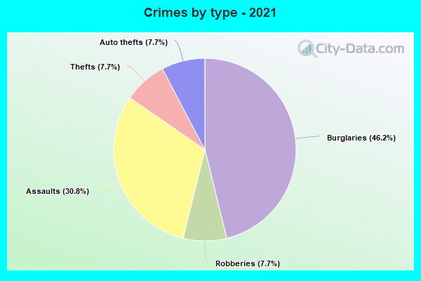 Crimes by type - 2021