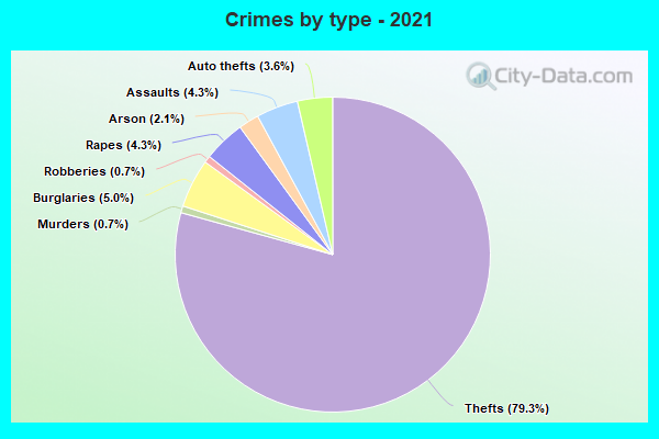 Crimes by type - 2021