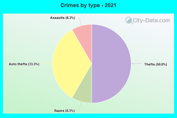 Crimes by type - 2021